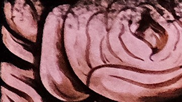 Uno de los santos más venerados del 22 de enero es San Vicente.