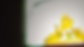 El 14 de enero se recuerda la vida de destacados santos.