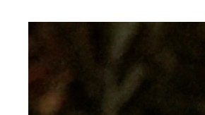 Selena Gomez y Salma Hayek