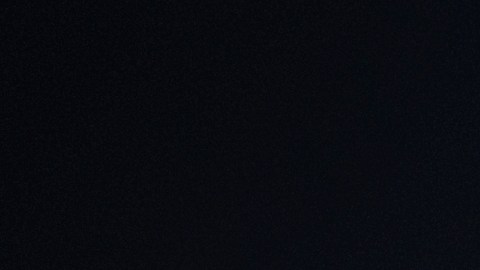 El Año de la Serpiente comienza el 29 de enero de 2025.