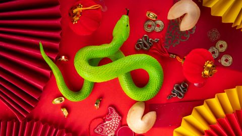 El Año de la Serpiente de Madera trae prosperidad para algunos signos chinos.