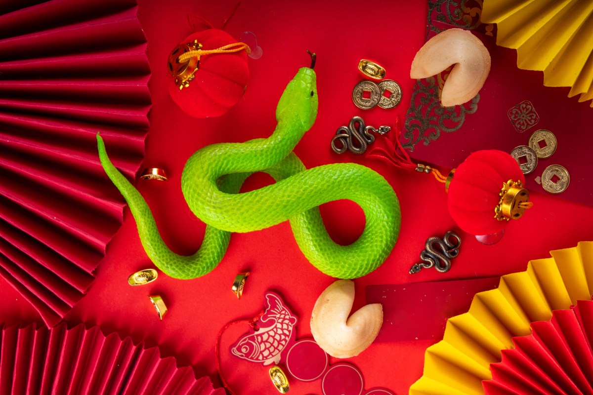 Año de la Serpiente: 4 signos del Horóscopo Chino serán prósperos