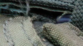 La oficina de campo del FBI dijo que continúa trabajando estrechamente con funcionarios federales, estatales y locales para investigar más a fondo el incidente.