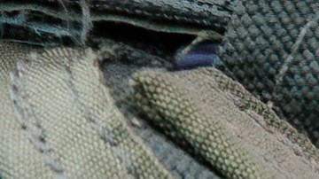 La oficina de campo del FBI dijo que continúa trabajando estrechamente con funcionarios federales, estatales y locales para investigar más a fondo el incidente.