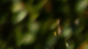 Amazon vende casa prefabricada resistente a terremotos e incendios.