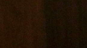 Spencer Pratt y Heidi Montag