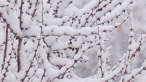 La primera gran tormenta invernal del año afectará a más de 60 millones de personas.