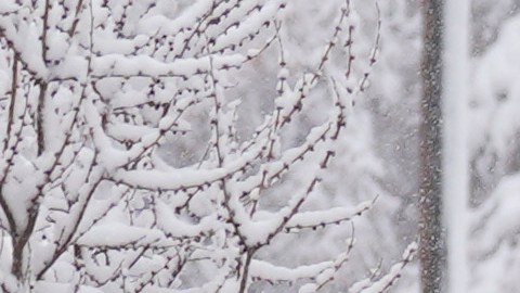 La primera gran tormenta invernal del año afectará a más de 60 millones de personas.