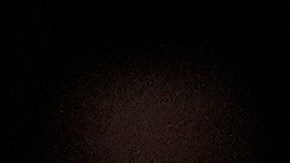 El presidente electo Donald Trump y la exprimera dama Melania Trump presentan sus respetos frente al ataúd del expresidente Jimmy Carter.