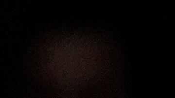 El presidente electo Donald Trump y la exprimera dama Melania Trump presentan sus respetos frente al ataúd del expresidente Jimmy Carter.