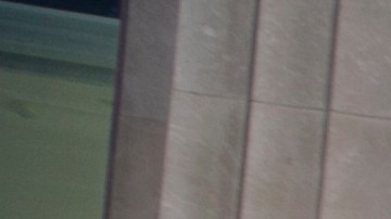 Trump no participará en la gestión de la Organización Trump desde la Presidencia,