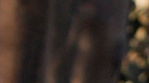 El presidente Trump y la primera dama Melania Trump caminan con Jason Hing, jefe adjunto de servicios de emergencia del Departamento de Bomberos de Los Ángeles, a la izquierda, y el capitán Jeff Brown, jefe de la Estación 69, por Pacific Palisades.