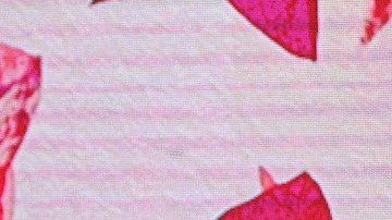 Laura Zapata Karla Sofía Gascón