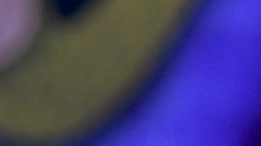 Maribel Guardia Julián Figueroa