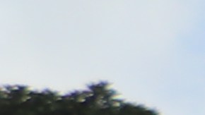 Estudiantes en LA protestan contra las deportaciones masivas.