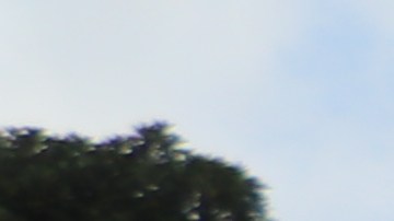 Estudiantes en LA protestan contra las deportaciones masivas.