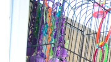 Los funcionarios dijeron que la casa fue condenada y catalogada como "no apta para ocupación humana"