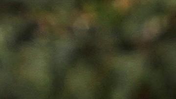 Honduras acuerda con Estados Unidos continuar extradiciones