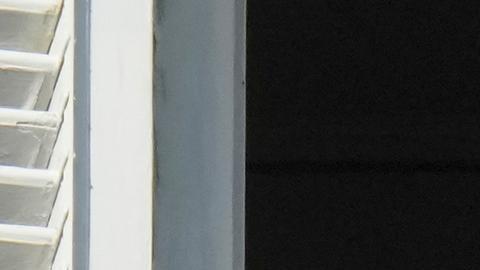 Papa no participará en actos del Vaticano en toda la semana