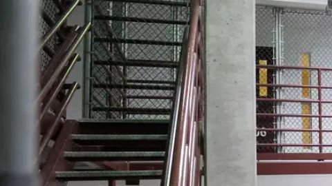 Presos enviados a Guantánamo son miembros del Tren de Aragua