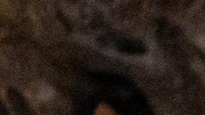 Papa Francisco, aquejado de neumonía, pasó "noche tranquila"