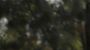 La Administración Trump acusa de "invasión" en la frontera.