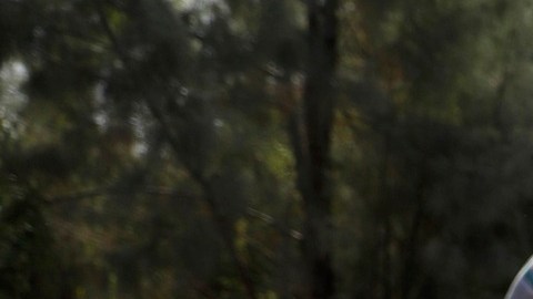 La Administración Trump acusa de "invasión" en la frontera.