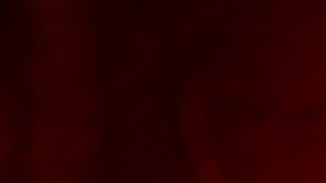 El caso de Brandtbert J. Brudenell ocurrió en Arizona.