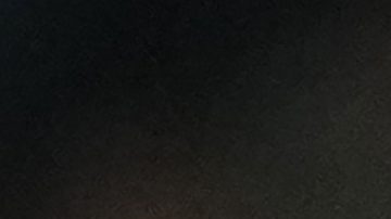 Carlo Ancelotti junto a Vinícius Jr.