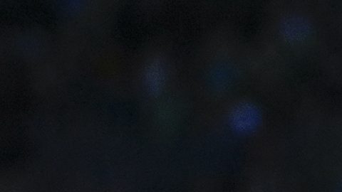 Ruidíaz durante su etapa con Seattle Sounders.