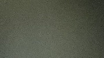 Joao Félix en festejo de gol.