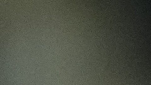 Joao Félix en festejo de gol.