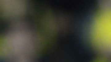 Cucho Hernández durante un partido de la MLS contra el Inter Miami