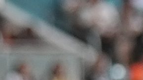 Julian Hill (i) y Tyreek Hill (d) durante un juego de los Dolphins.