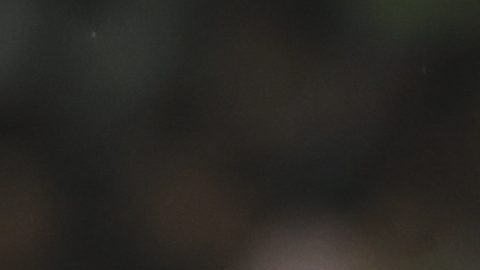 Tottenham gana la serie 0-1.