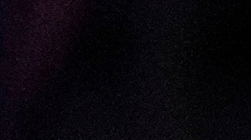 Donald Trump y Elon Musk estarían de acuerdo en cerrar la USAID