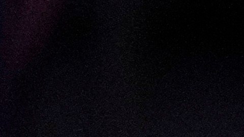 Donald Trump y Elon Musk estarían de acuerdo en cerrar la USAID
