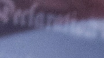 El líder de la minoría en el Senado, Chuck Schumer, y el senador Gary Peters.