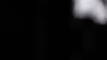 Tom Homan es el zar de la frontera.