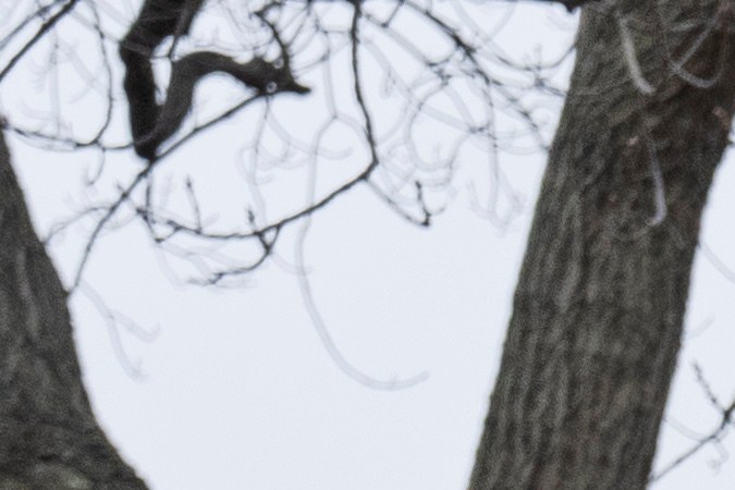 La Administración Trump inició la primera oleada de despidos masivos de trabajadores federales en período de prueba.