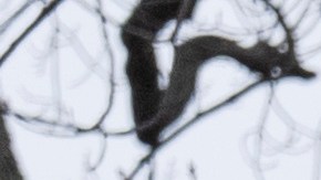 La Administración Trump inició la primera oleada de despidos masivos de trabajadores federales en período de prueba.