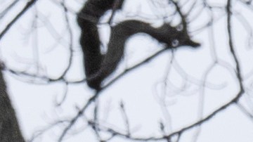 La Administración Trump inició la primera oleada de despidos masivos de trabajadores federales en período de prueba.