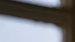 El Congreso debate el presupuesto.