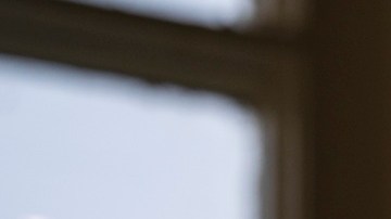 El Congreso debate el presupuesto.