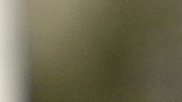 Miles de personas han sido despedidas de sus empleos en agencias federales en menos de un mes.