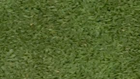 El NFL Scouting Combine 2025 inició este jueves, pero los mexicanos participarán a partir del viernes.