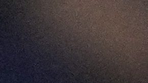 Los Angeles Dodgers designated hitter Shohei Ohtani high-fives manager Dave Roberts after hitting a home run during the first inning of a spring training baseball game Los Angeles Angels, Friday, Feb. 28, 2025, in Phoenix. (AP Photo/Ashley Landis)