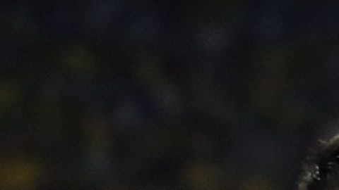 Cuadrado y James en la selección colombiana.