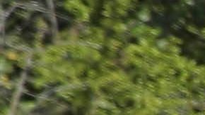 Imagen de referencia de un ciclista en una carretera.