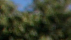 A San Diego County sheriff deputy blocks the road leading to a home in a hilly neighborhood of Escondido, Calif. where authorities recently found the largest supply of homemade explosives in a single location in United States history, Wednesday, Dec. 1, 2010. The home was rented and occupied by a George Djura Jakubec and is scheduled to be burned next week. (AP Photo/Lenny Ignelzi)